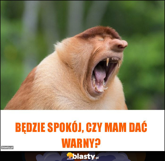 Będzie spokój, czy mam dać warny?