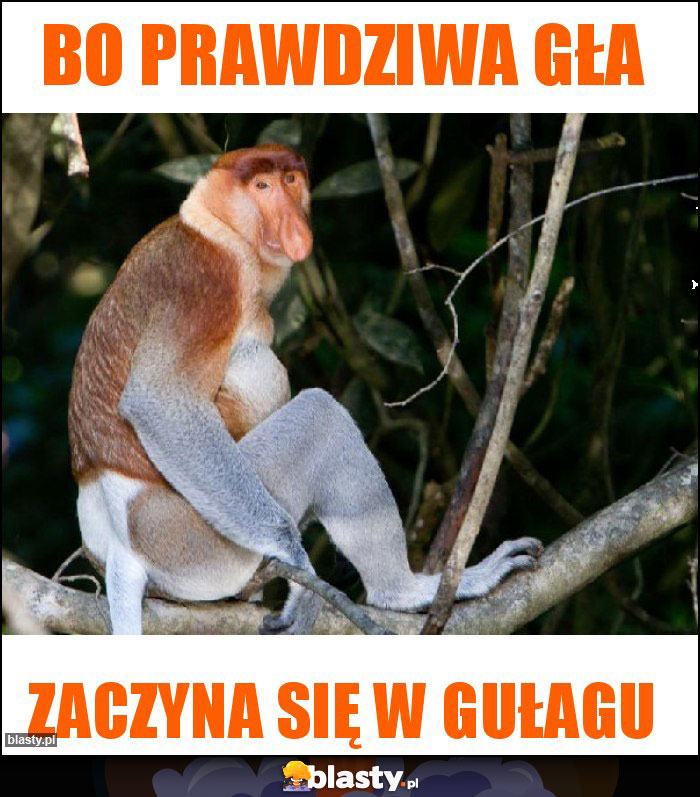 BO PRAWDZIWA GłA