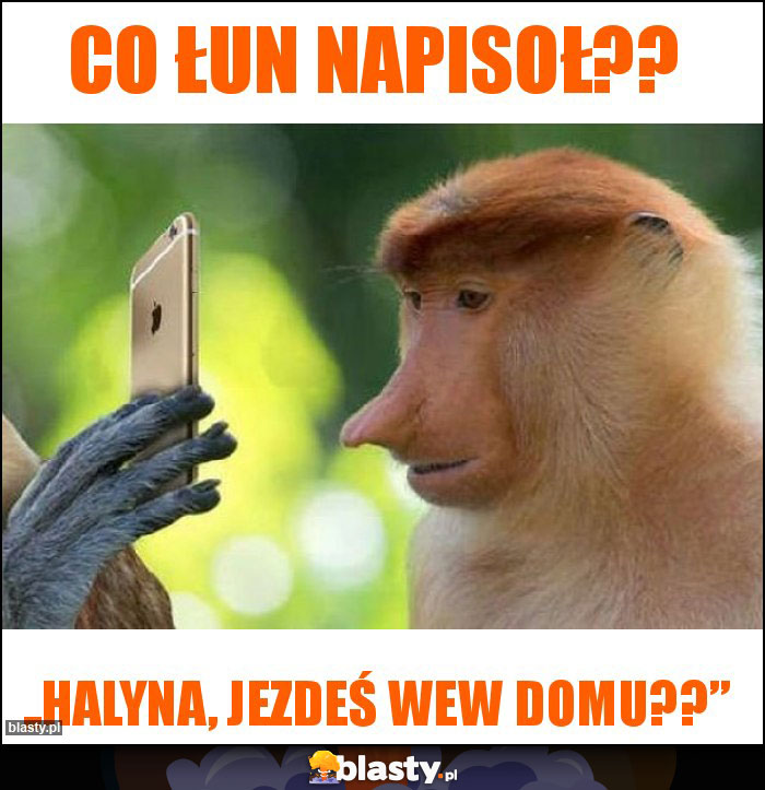 Co łun napisoł??