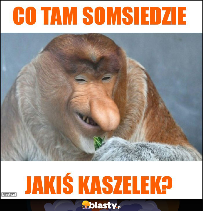 Co tam somsiedzie