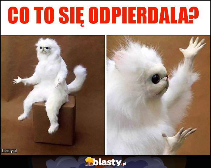 Co to się odpierdala?
