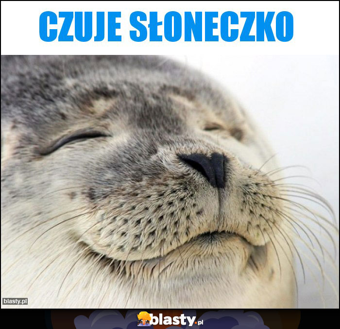 Czuje słoneczko