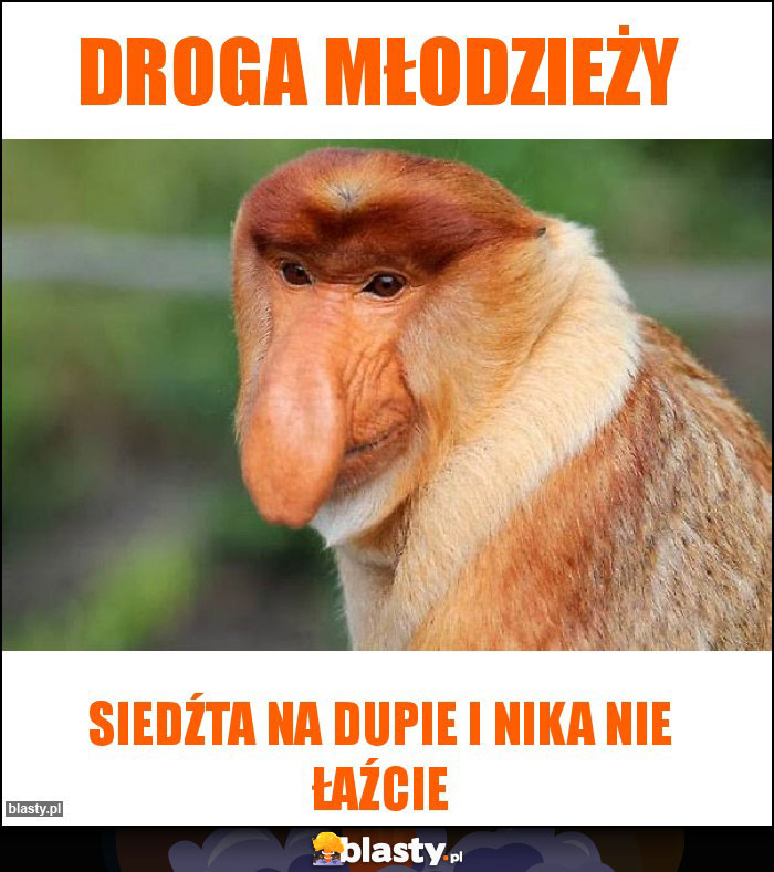 Droga młodzieży