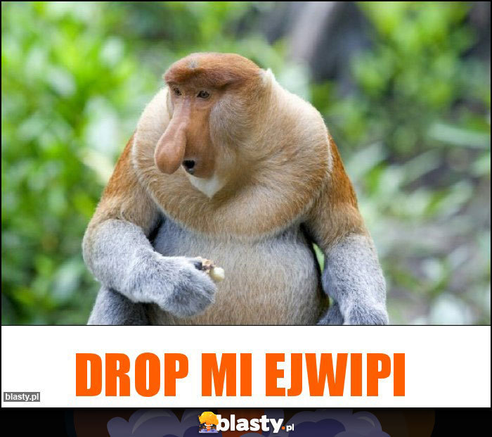 Drop mi ejwipi