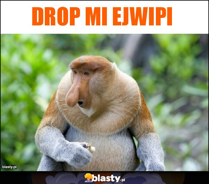 Drop mi ejwipi