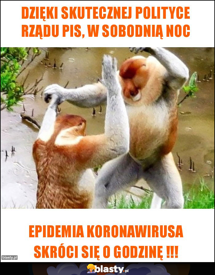 Dzięki skutecznej polityce rządu PiS, w sobodnią noc