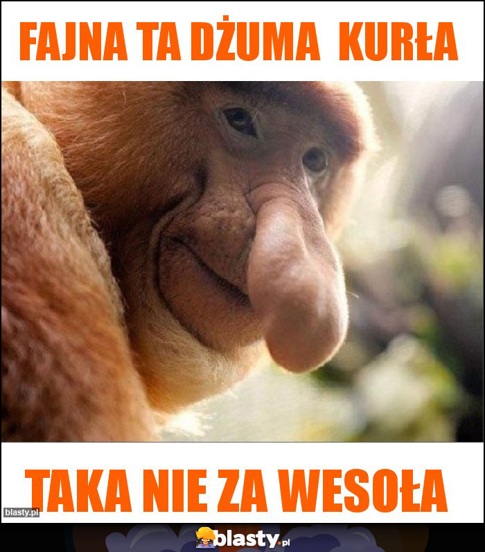 Fajna ta dżuma  kurła