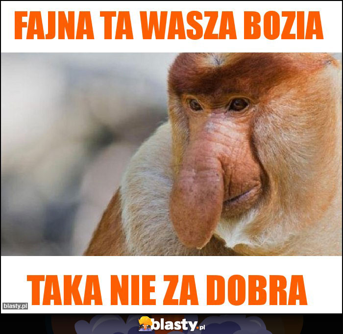 Fajna ta wasza Bozia