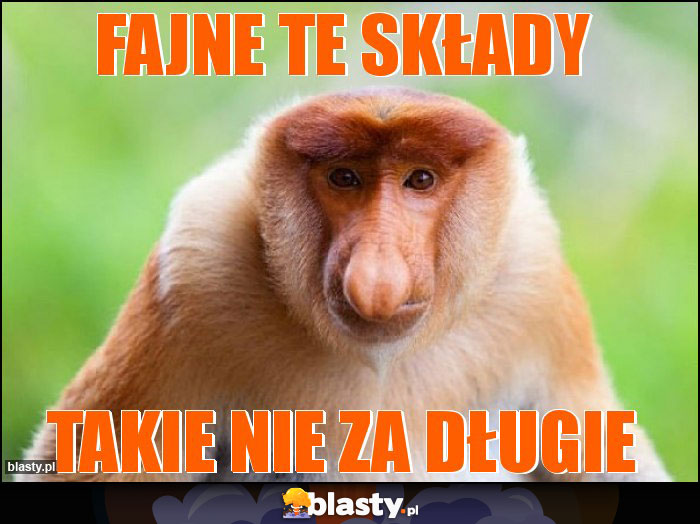 fajne te składy