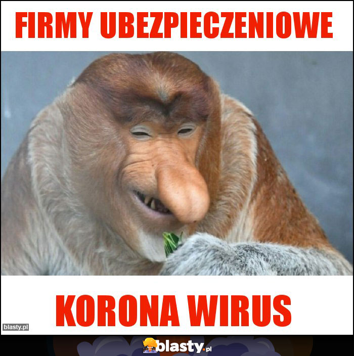 Firmy ubezpieczeniowe