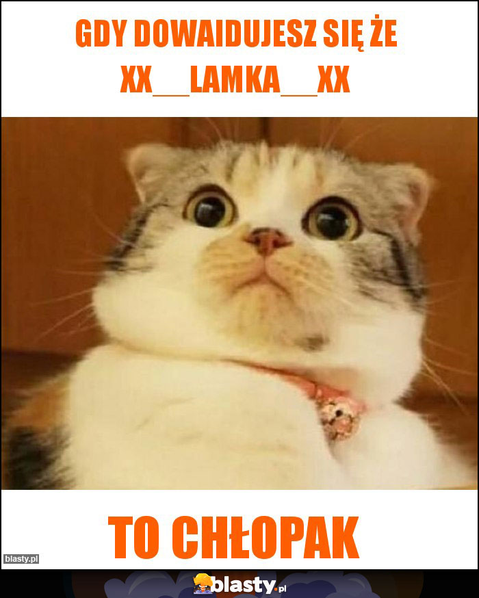 Gdy dowaidujesz się że xx__lamka__xx