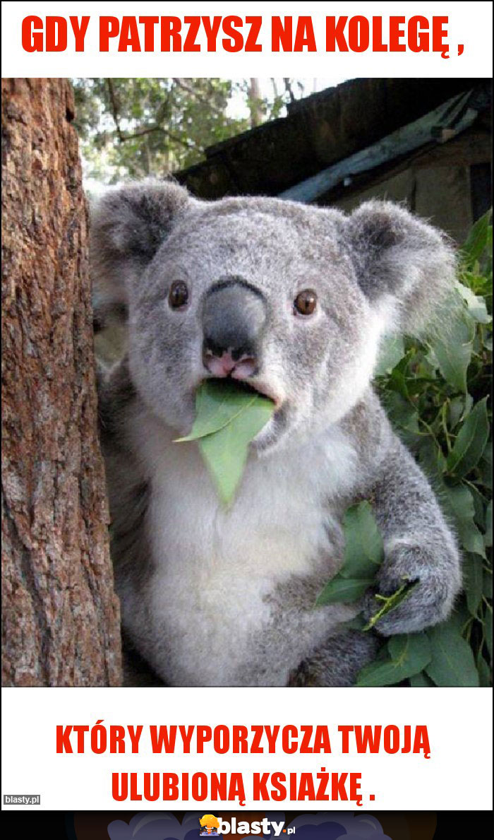 Gdy patrzysz na kolegę ,