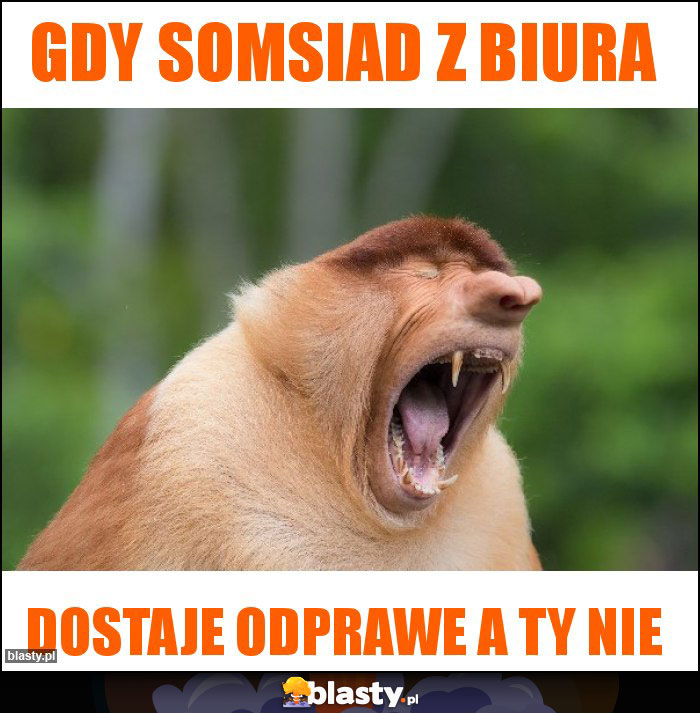 GDY SOMSIAD Z BIURA