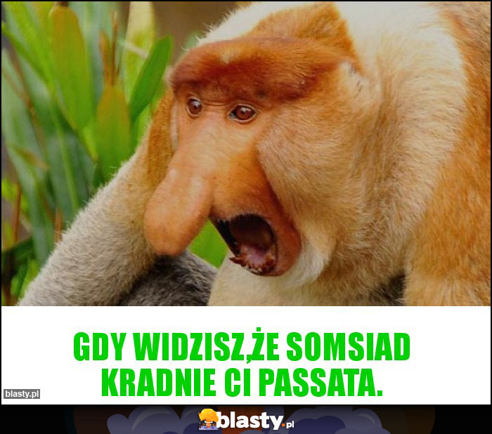 Gdy widzisz,że somsiad kradnie ci passata.