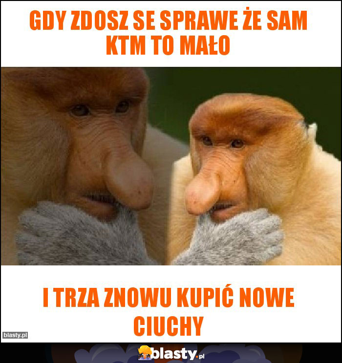 Gdy zdosz se sprawe że sam KTM to mało