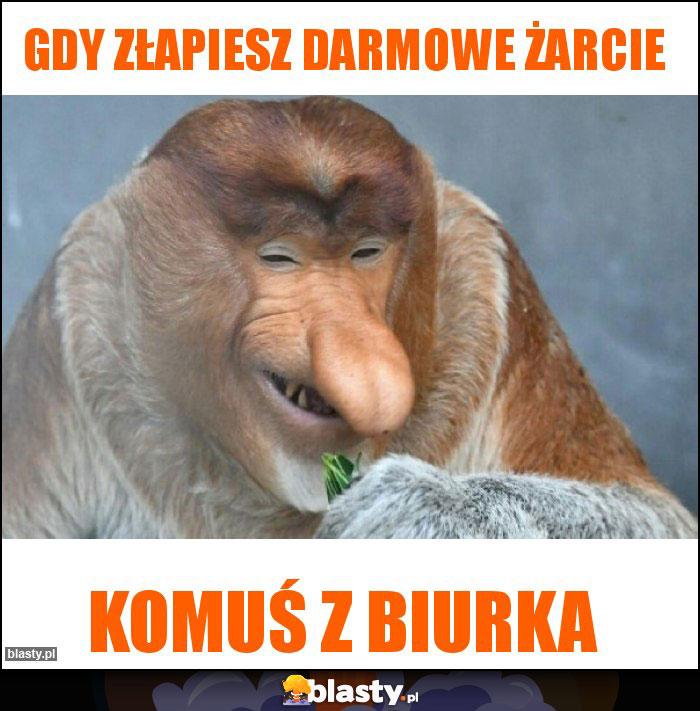 Gdy złapiesz darmowe żarcie