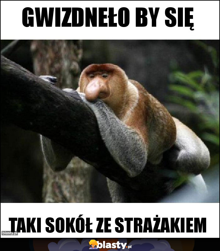 Gwizdneło by się