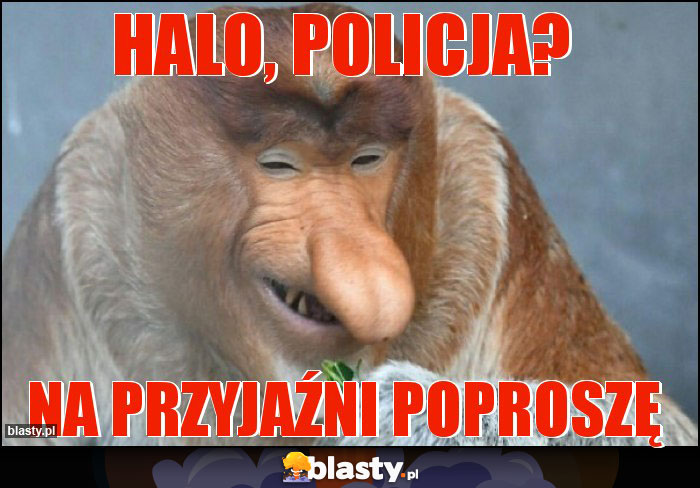 Halo, policja?