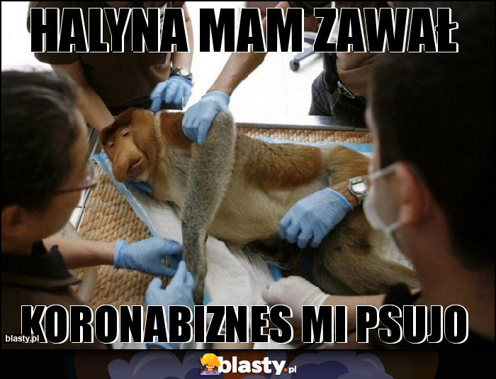 HALYNA MAM ZAWAŁ