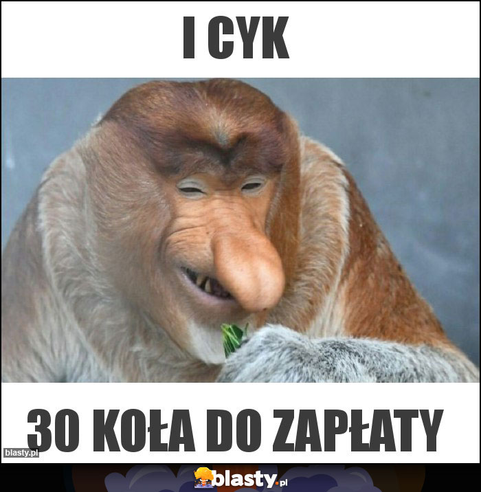 I cyk