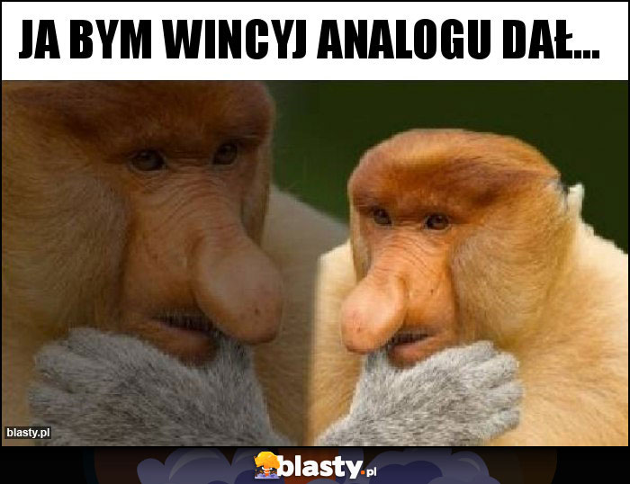 JA BYM WINCYJ ANALOGU DAŁ...