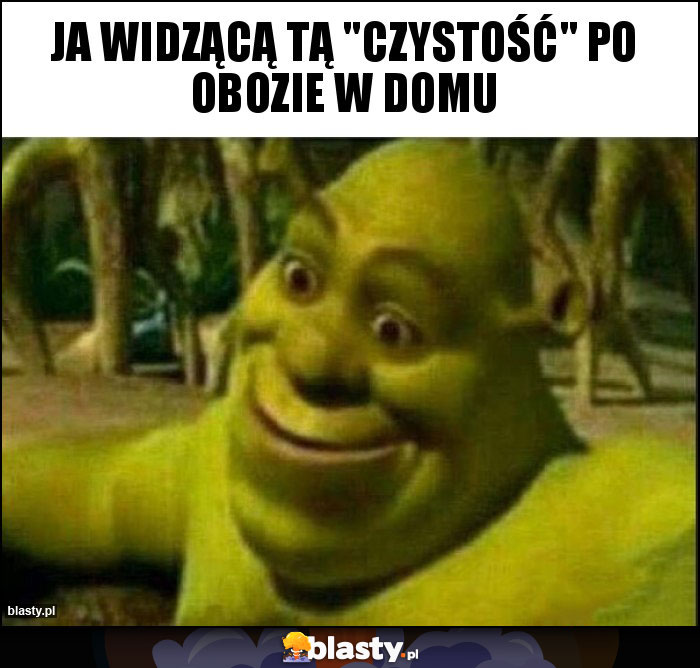 Ja widzącą tą 