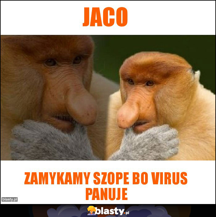 Jaco