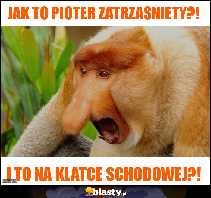 Jak to Pioter zatrzasniety?!