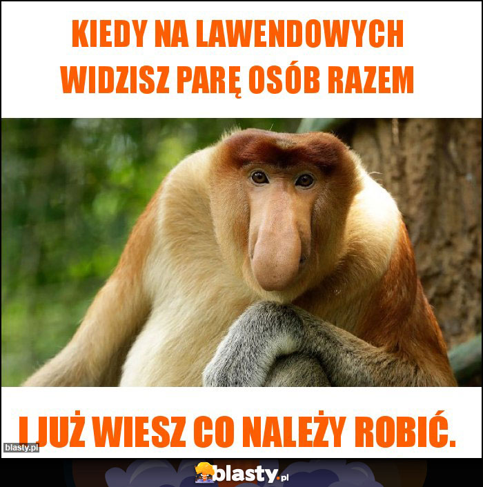 Kiedy na Lawendowych widzisz parę osób razem