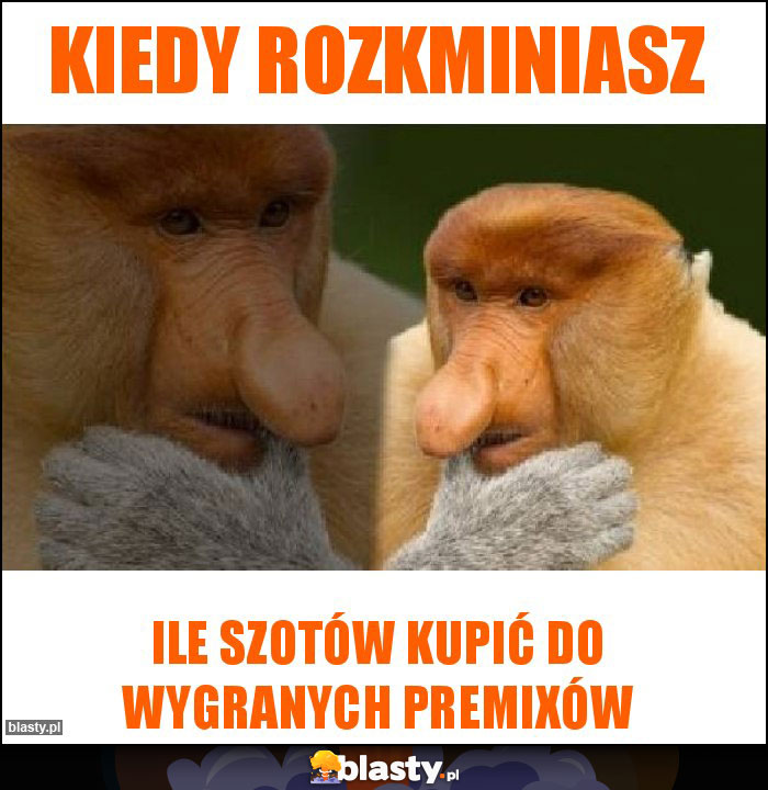 Kiedy rozkminiasz