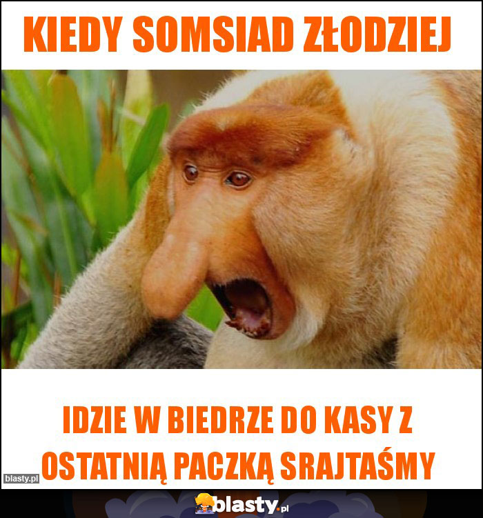 Kiedy somsiad złodziej