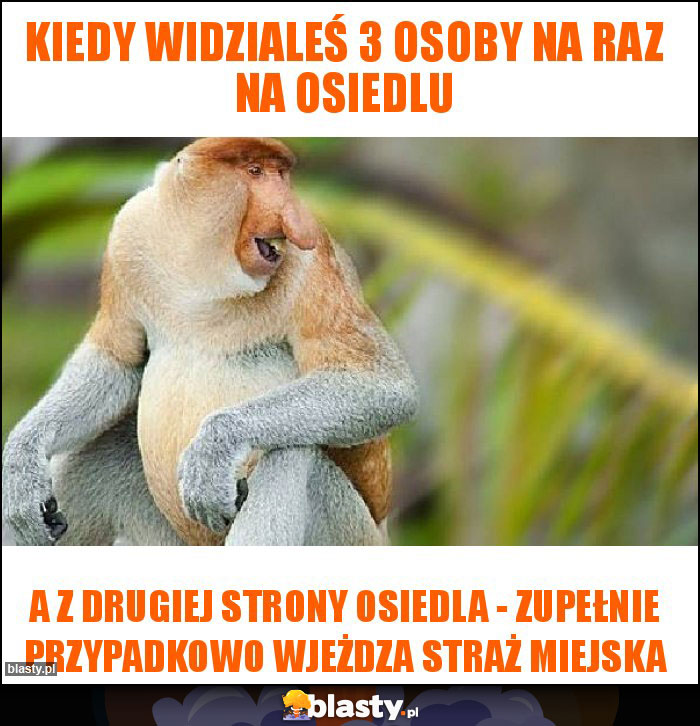 Kiedy widzialeś 3 osoby na raz na osiedlu