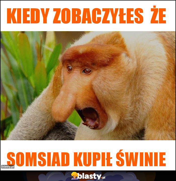 Kiedy zobaczyłes  że