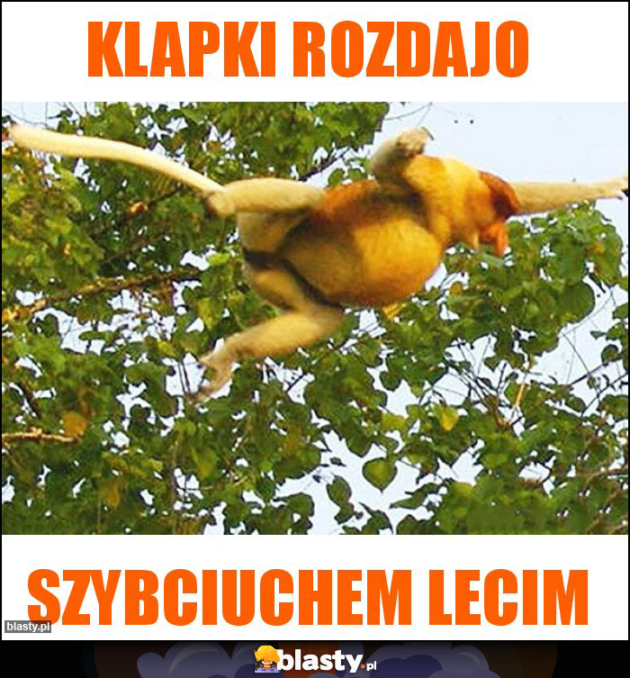 Klapki rozdajo