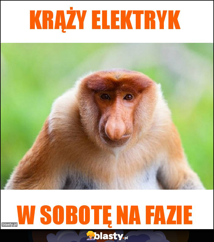 Krąży elektryk