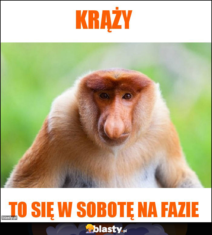 Krąży