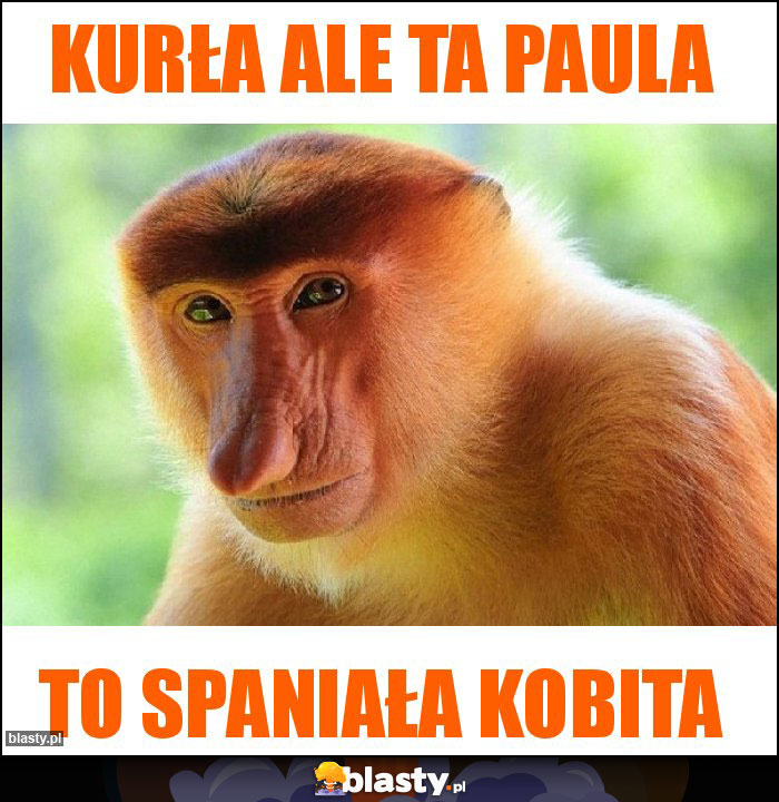 Kurła ale ta Paula