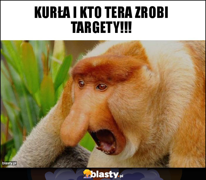 Kurła i kto Tera zrobi targety!!!