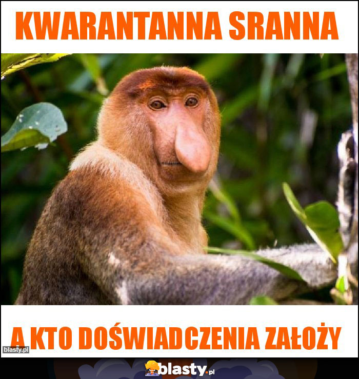 Kwarantanna sranna