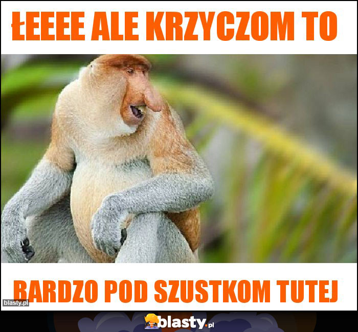 Łeeee ale krzyczom to
