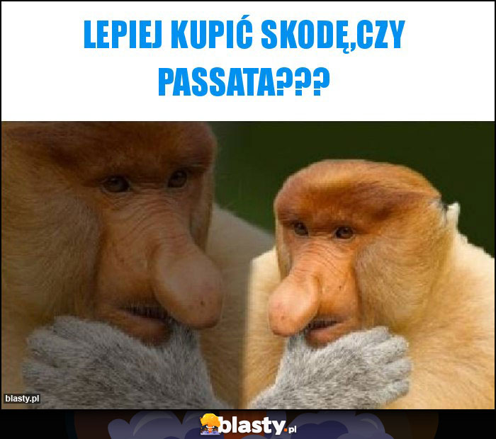 Lepiej kupić Skodę,czy passata???