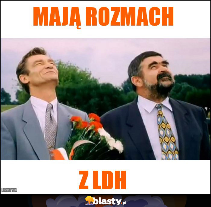 Mają rozmach