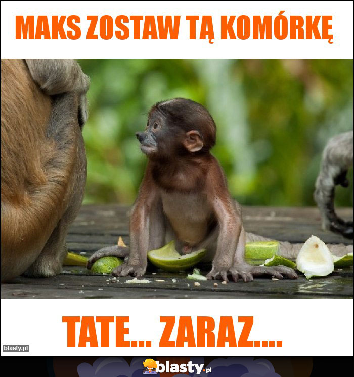 Maks zostaw tą komórkę