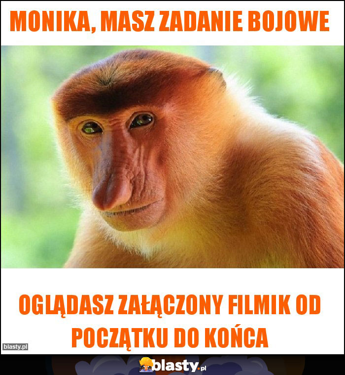 monika, masz zadanie bojowe