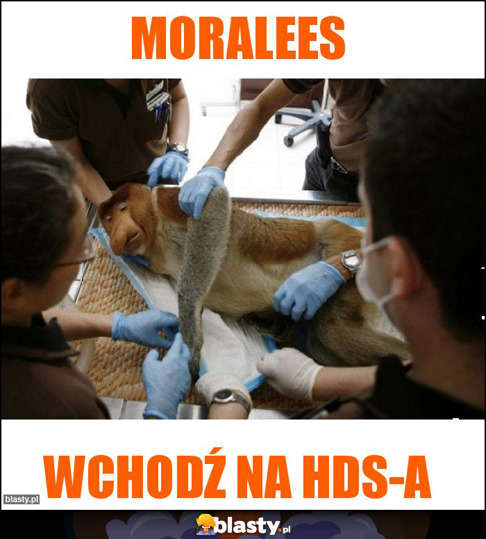Moralees