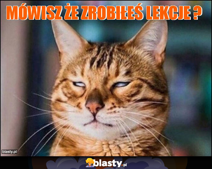 Mówisz że zrobiłeś lekcje ?