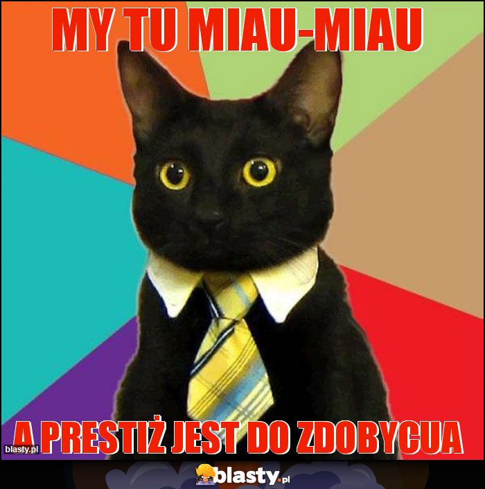 My tu miau-miau
