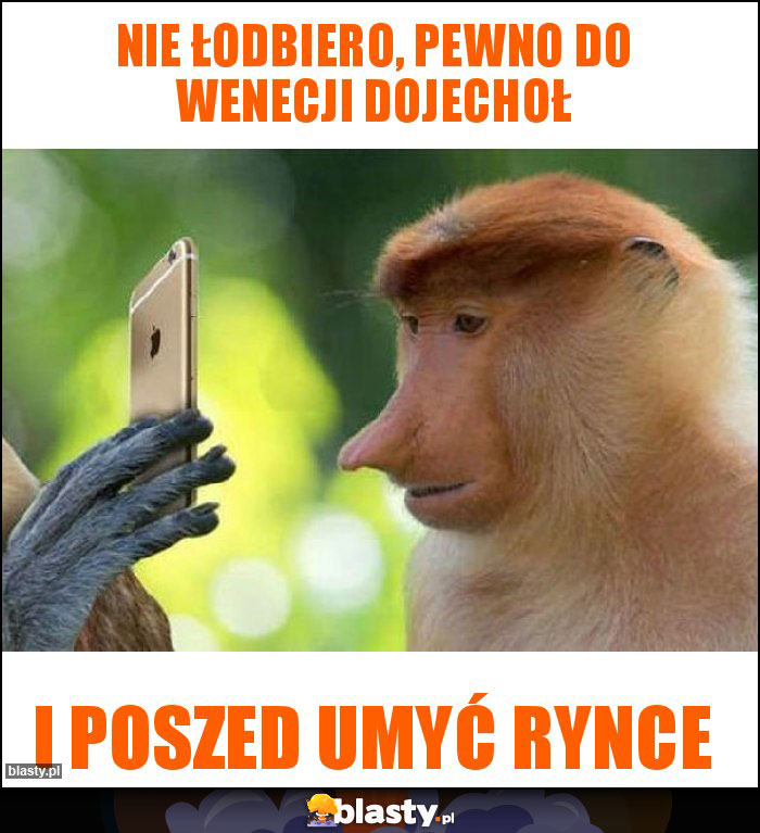 Nie łodbiero, pewno do Wenecji dojechoł