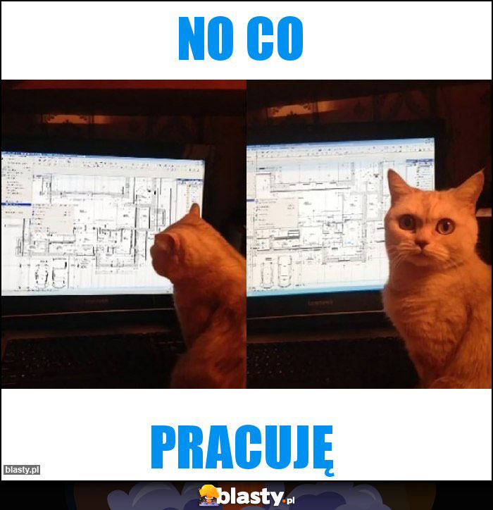 No co