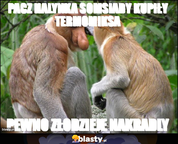 Pacz Halynka somsiady kupiły termomiksa